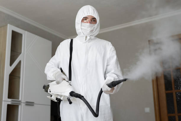 Best Asbestos and Lead Testing During Mold Inspection in Reynoldsburg, OH